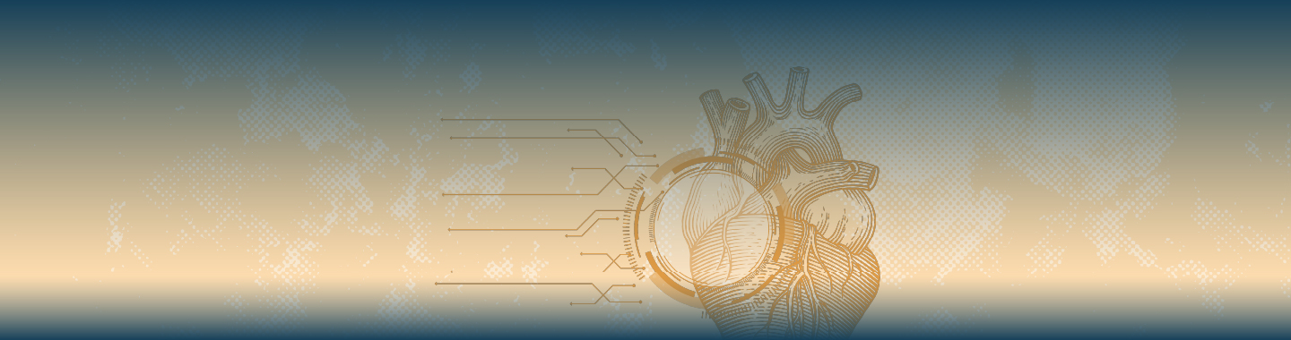 WHF Emerging Leaders 2025 Programme Artificial Intelligence for Cardiovascular Health through Implementation Research